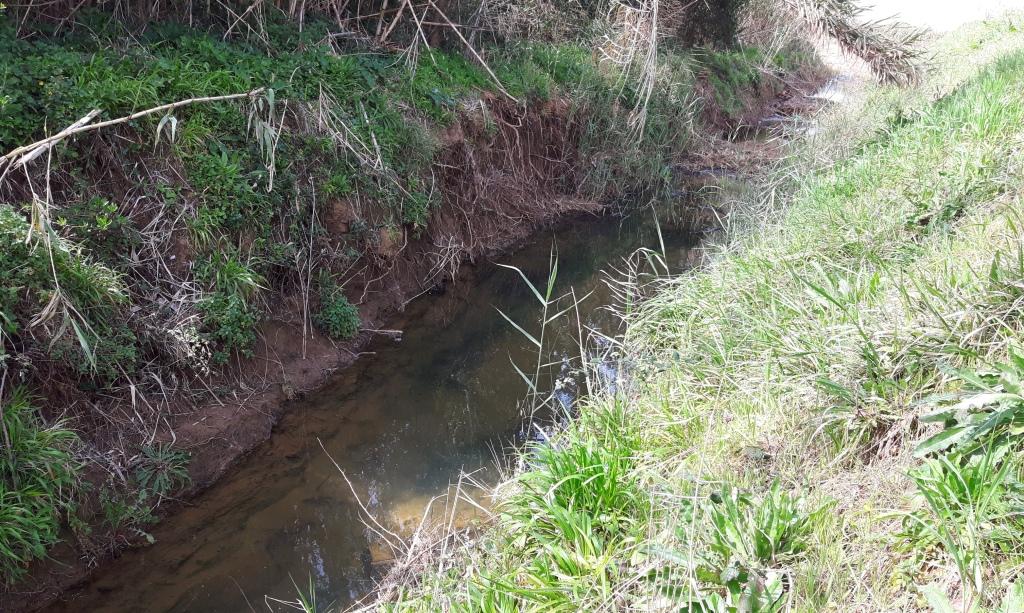 I fossi e lo stagno di Baratti (Piombino - LI)